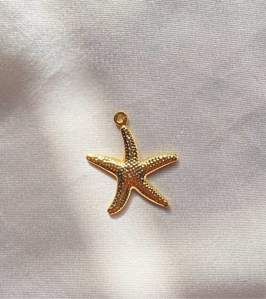 Golden star charm